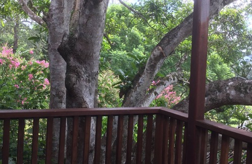 Bellingen Cabin | Fully detached, centrally located, quite, private, open plan cabin