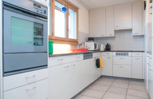 Horgen District Apartment | Fully equipped 2 BR Apartment with Lakeview & Garage, near station