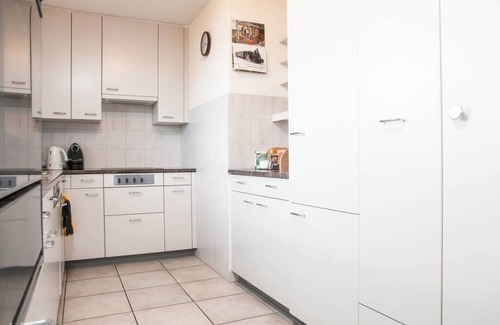 Horgen District Apartment | Fully equipped 2 BR Apartment with Lakeview & Garage, near station