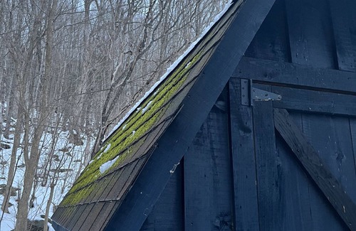 West Kill Cabin | Fully Stocked Ski Cabin: 15 MINS to Hunter/Windham!
