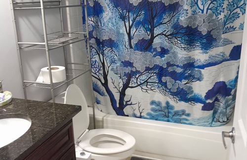 Sandy Springs House | furnished master bedroom in sandy springs/dunwoody