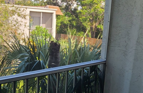Clearwater Apartment | Furnished Mid-term Rental in Peaceful 2BR Near Everything in Clearwater