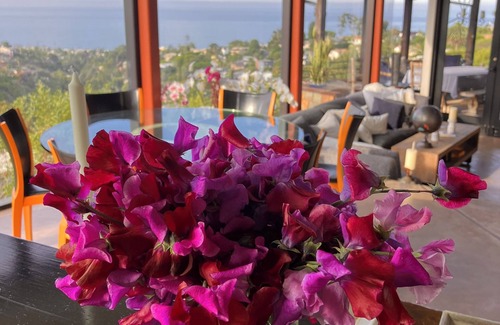 Laguna Beach House | Furnished Ocean/Canyon view Architect's sustainable home-w/elevator