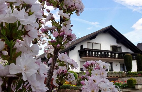 Bad Konig Apartment | Gästehaus Braun
