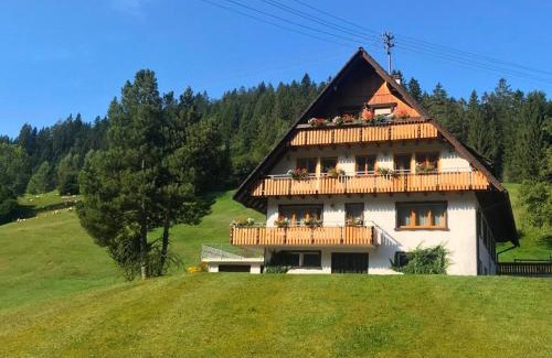 Bad Rippoldsau-Schapbach Apartment | Gästehaus Brigitte Schoch