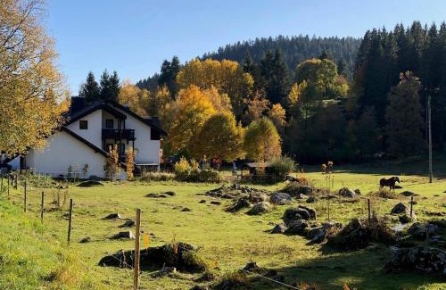 Blasiwald Apartment | Gästehaus Seewald- Ferienwohnung 3 "Tanne", Schluchsee, Blasiwald