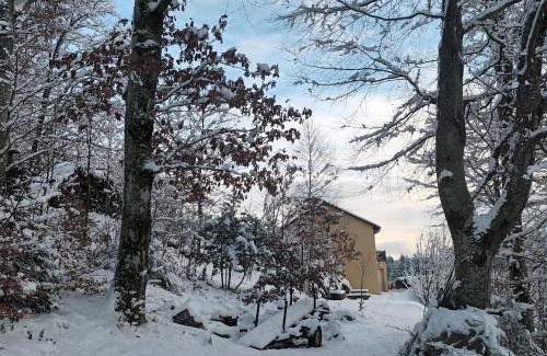 Le Tholy House | Gîte à la montagne avec cheminée, wifi et joli terrain - FR-1-589-179