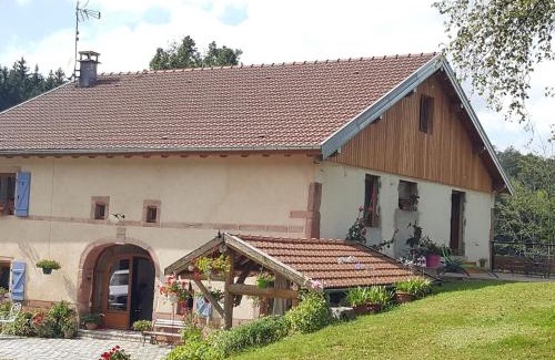 Le Tholy Apartment | Gîte élégant en pleine nature avec terrasse, départ randonnées, parking privé et équipements inclus - FR-1-589-384