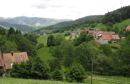 Breitenbach-Haut-Rhin House | Gîte au calme avec 2 chambres, terrasse, jardin, BBQ et parking inclus à Breitenbach-Haut-Rhin - FR-1-744-42