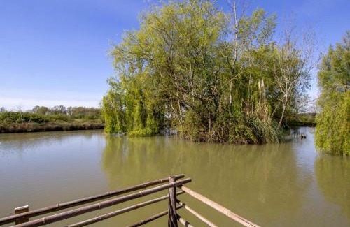 Naussannes House | Gîte Authentique avec Piscine, Cheminée et Étang Privé à Naussannes - Proche Bergerac - FR-1-616-205