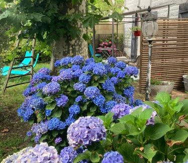 Saint-Julien-en-Born Apartment | Gîte avec jacuzzi privatif à proximité de l'océan