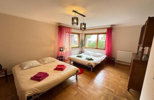 Mittlach House | Gîte de Pipala