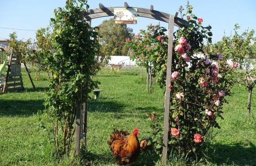 Hyeres Bed & Breakfast | Gîte du Pagoulin - Chambres d'hôtes