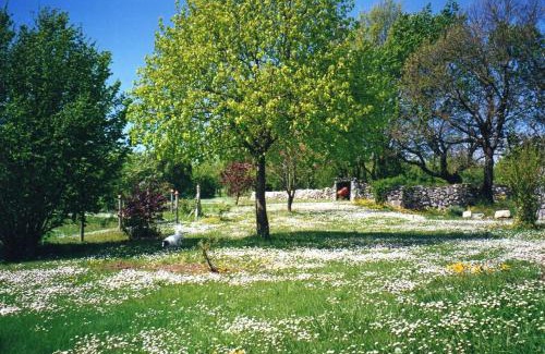 Valeilles House | Gîte l'Odonata
