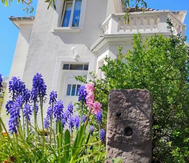 Chatenois Apartment | Gîte Le Marronnier - au calme - parking & terrasse - près de Colmar et Riquewihr - route des vins