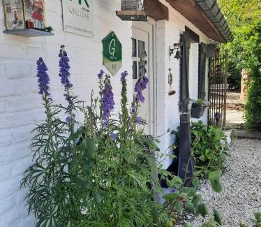 Leuze-en-Hainaut Apartment | Gîte le Quesnoy