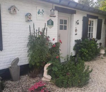 Leuze-en-Hainaut Apartment | Gîte le Quesnoy