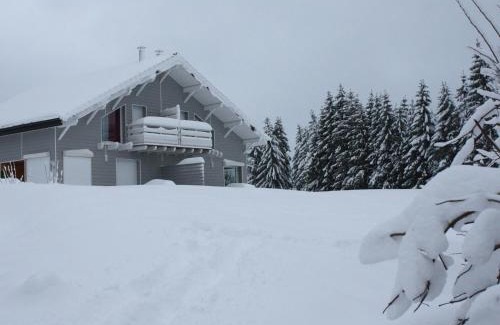 Le Tholy House | Gîte neuf au calme près de Gérardmer avec terrasse et balades en forêt - FR-1-589-217