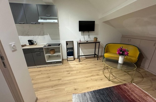 Givet Apartment | Gîtes by Hôtel Les Reflets Jaunes