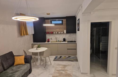 Iasi Apartment | G&G Residence