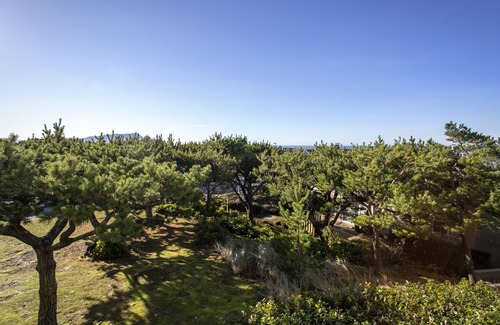 Gearhart Condo | G603 First Floor 1 Bedroom Upgraded unit No cleaning fees