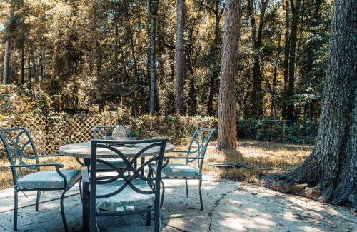 Gainesville House | Gainesville Charm- Cozy, Comfortable, Convenient