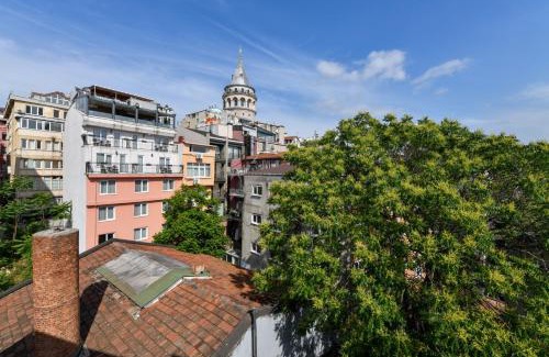 Galata Apartment | Galata Tower Is Almost In Your Bedroom And In The Balconies Rooftop Terrace with Golden Horn View
