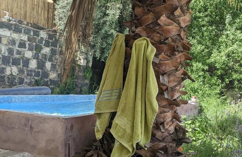 Rosh Pinna Apartment | Galilee courtyard garden room in Rosh Pinna