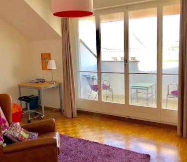 Basel City Centre Apartment | Ganze Wohnung mit Balkon,schöne Aussicht,Küche,Bad,Wifi