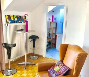 Basel City Centre Apartment | Ganze Wohnung mit Balkon,schöne Aussicht,Küche,Bad,Wifi
