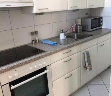 Basel City Centre Apartment | Ganze Wohnung mit Balkon,schöne Aussicht,Küche,Bad,Wifi
