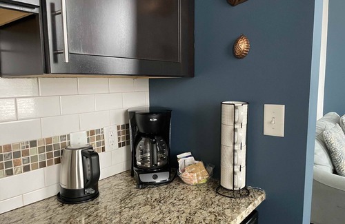 Downtown Knoxville Apartment | "Garden" 2Br, 2Ba, overlooking the Square in Downtown Knoxville