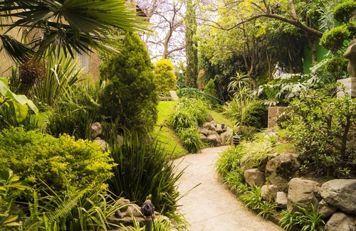 Coyoacan Apartment | GARDEN HOUSE, WELCOME TO SAN ANGEL NEIGHBOURHOOD