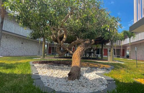 Homestead Hotel | Garden Inn Homestead/Everglades/Gateway to Keys