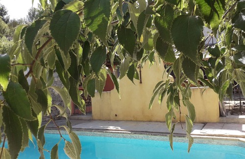 Cuers Apartment | Garden level suite located in the vineyards 19km from the beaches.