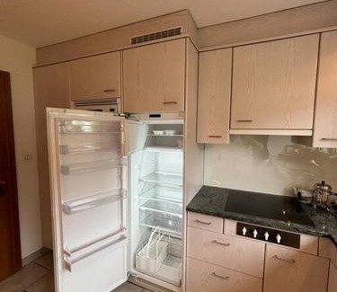 Central Interlaken House | Garden Park Apartment