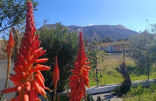 Vulcano Porto House | Garden & Sea