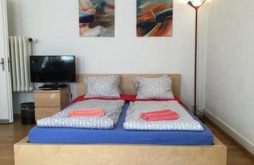 Fluntern Apartment | Garden Studio Apartment Zürichberg