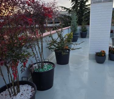 Kvareli Apartment | Garden Terrace Kvareli