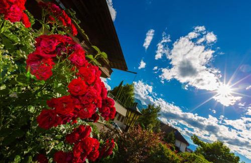 Laces Hotel | Garni - Hotel Rinner Julia