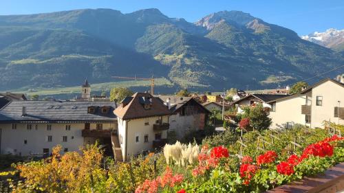 Silandro Bed & Breakfast | Garni Schuster