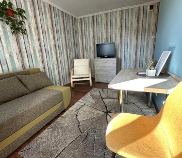 Cluj-Napoca Apartment | Garsonieră Cernei