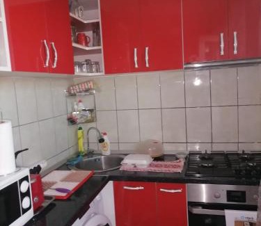 Tirgu Jiu Apartment | Garsoniera confort 1 mobilata