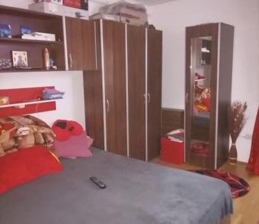 Tirgu Jiu Apartment | Garsoniera confort 1 mobilata