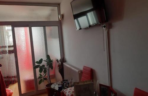 Tirgu Jiu Apartment | Garsoniera confort 1 mobilata