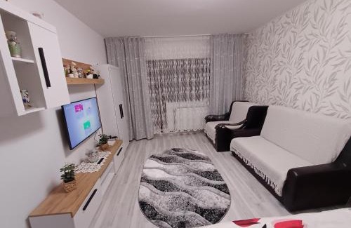 Tirgu Ocna Apartment | Garsoniera George
