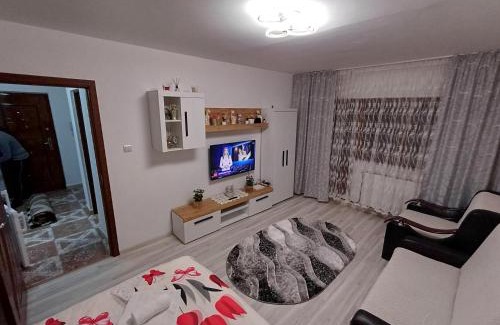 Tirgu Ocna Apartment | Garsoniera George
