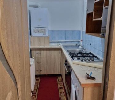 Moinesti Apartment | Garsoniera,La Gigea"