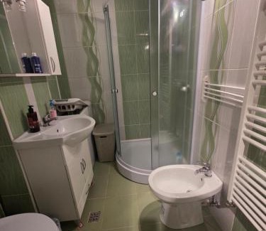 Zalau Apartment | Garsoniera-studio in Zalău