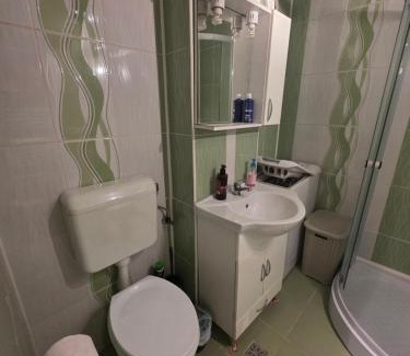 Zalau Apartment | Garsoniera-studio in Zalău